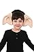 elope Harry Potter Dobby the House Elf Costume Ears for Kids and Adults Standard