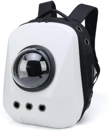 ybgL[obO ^ LbN ω׏d8Kg FDJvZ LX y ^p LpobNpbN (zCg)