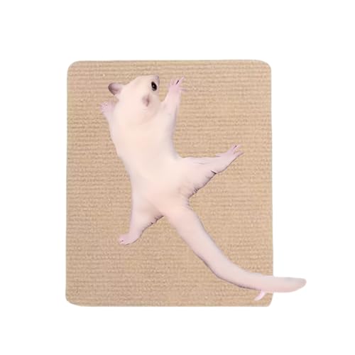 K  ܌ Xebv P[W t ܐ؂ tNK Vѓ   Q[W  NC~O }bg lCPA ܂Ƃ Ђh~ V[g ^s lWNC~OXebJ[ J[L 1_