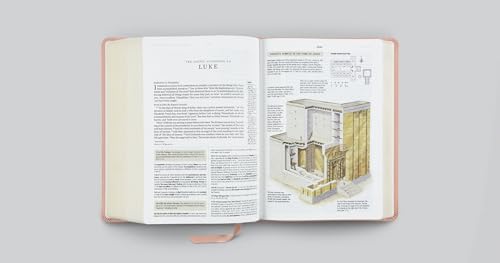ESV Study Bible (TruTone, Pink, Fleur-de-lis Design): Holy Bible, English Standard Version - image 6