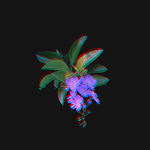 Lilax