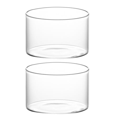 Genérico Vasos de Pudín de Cristal Transparentes 2 Piezas, Copas para Postre y Helado Casero, Taza Multifunción para Yogur y Frutas, Accesorio para Hogar y Repostería