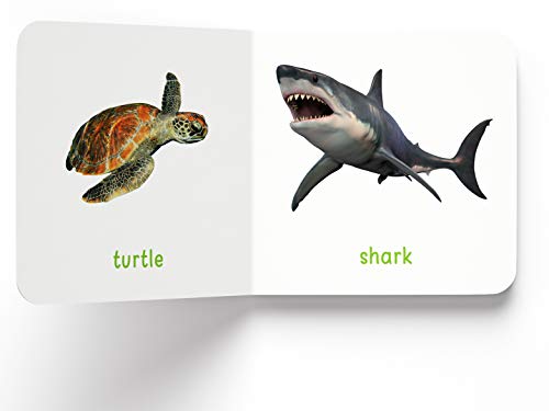 My First Book of Sea Animals