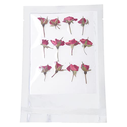 Flor Natural de Rosa Prensada con Tallo para Decoración miniatura 1