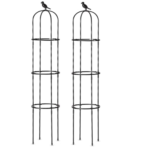 FOLLOOK Garden Obelisk Trellis for Climbing Plants Outdoor, Lightweight Climbing Plant Support Flower Roses Clematis Vegetable Light Vines Round Trellis for Raised Garden Bed Planter, Black, 2 Pack by FOLLOOK - Image 8