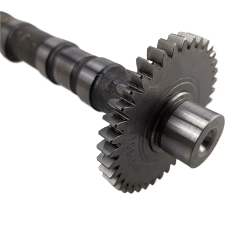 Árbol de levas compatible con accesorios GW4D20 para reparación 6