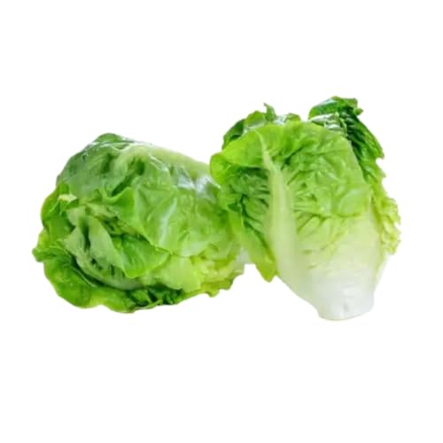 ZENXIN Organic Mini Cos Lettuce 160g