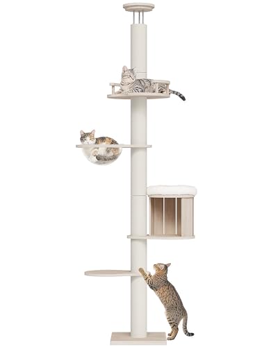 OROPY Lbg^[ ˂ ؐ X FDnbNt  L^[ ȃXy[X ^s B ܂Ƃ|Xg Sȓꊪ Lbgc[ 193-250cm