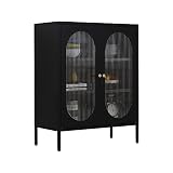 LINGZOE Black Storage Cabinet with Steel Frame and 2 Glass Door, Home Locker Sideboard Cabinet Organ