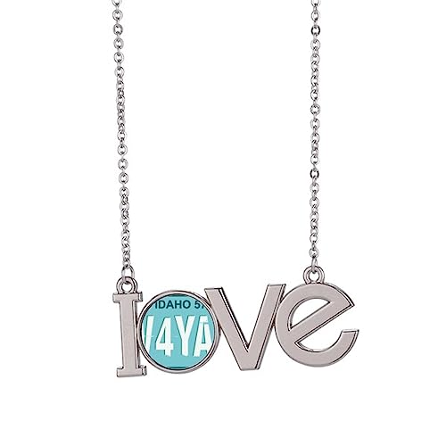 Collier plaque immatriculation USA M pendentif acier inoxydable anti rouille