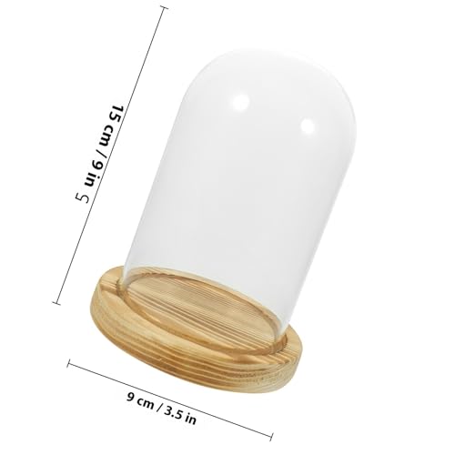 Cúpula de vidrio para flores secas y centro de mesa decorativo con base de madera 3