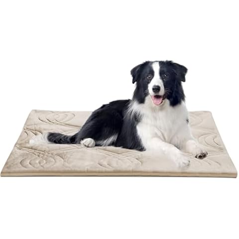 Thirdream Dog Crate Mat for Pets Cover