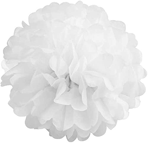 Pack of 10 Tissue Paper Flower Ball Pom pom Party Decoration Indoor Outdoor 6