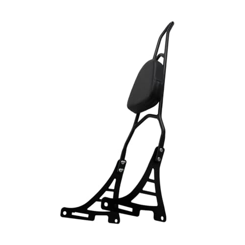 Porte-bagages de moto noir et dossier passager arrière Sportster 883 1200 XL