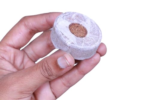 Image of Kids Pot-A-Plant Starter Pack (Kerala Coir) - 2 Biodegradable Coir Pots + 4 Cocopeat Netted Pellets (35mm) | Nature Activity Set for Children