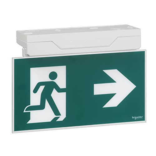 Schneider Electric OVA48406 bloc de secours Exiway Smartexit permanent