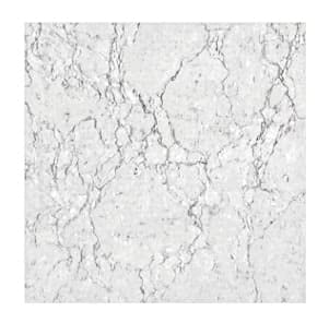 Maheshwari, Royal ice vitrified Tiles,ceremic -Glazed vitrified Tile with Nano Technology for Floor Tiles,Living Room,Kitchen,washroom(6X6)1cm Thickness,Glossy Finish(Box Contain 2 Tile) (4) (8)