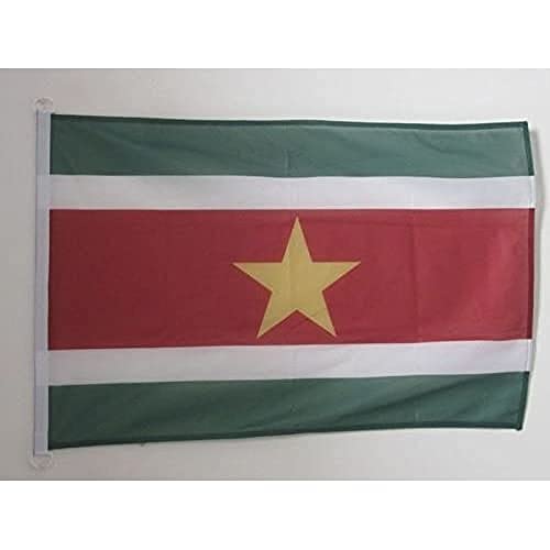 AZ FLAG, Suriname Flag, 2x3 Ft, For Outdoor, Surinamese Banner Knitted Polyester with Two Plastic Rings, Fade Resistant