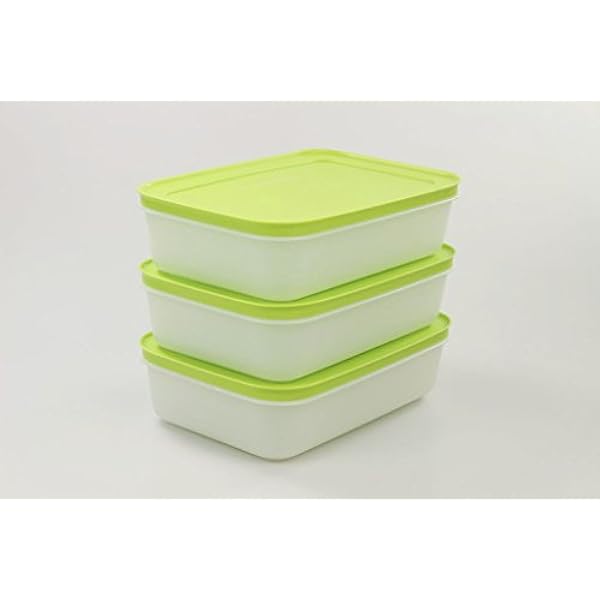 TUPPERWARE Vriesbak (3) ijskristal ijskristal 1,0 L groen-wit plat 29739