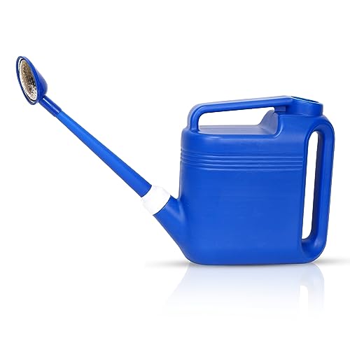 1.5 Gallon Watering Can for Outdoor Plants, Garden Watering Pot with Lightweight and 5.5L Capacity, Plastic Indoor Watering Can with Long Spout and Metal Removable Sprinkler Head, Blue