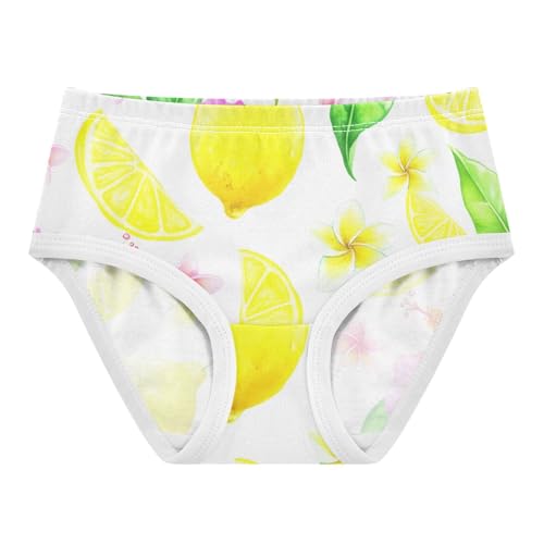 Cotton Toddler Underwear Floral Pink Floral Yellow Lemons White Panties Little Girl Animals Kids Undies Briefs 2t