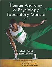 Laboratory Manual for Seeley's Anatomy & Physiology 9th (nineth ...