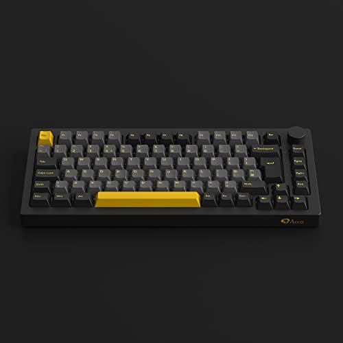 Akko 5075S RGB Przewodowa mechaniczna klawiatura do gier Mocowanie uszczelki Programowalna z możliwością wymiany podczas pracy PBT o profilu Cherry z pokrętłem Układ Niemcy
