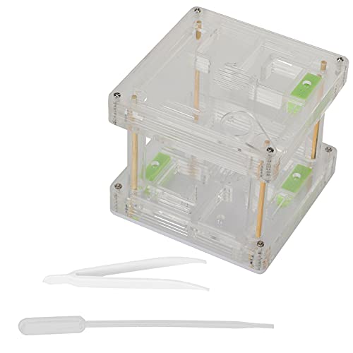 Caja expositora acrílica de hormigas Qcwwy con red de ventilación 2