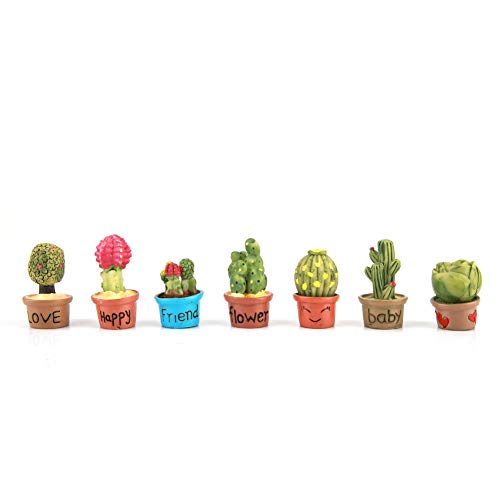 Duokon 7 Pz Miniature Ornamenti da Giardino Cactus in Miniatura Piante succulente Pot Decorazione casa Bambole Mini pianta