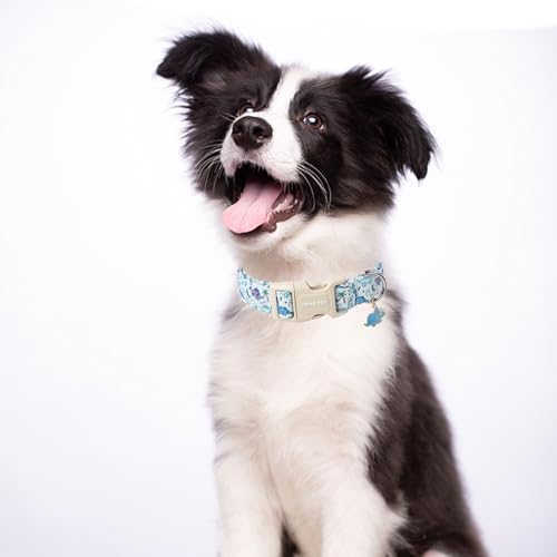 ARING PET Hundehalsband, Niedliches Dinosaurier-Hundehalsband mit Schnellverschluss aus Kunststoffschnalle, Bequemes Halsband aus Baumwolle für Jungen und Mädchen Hunde