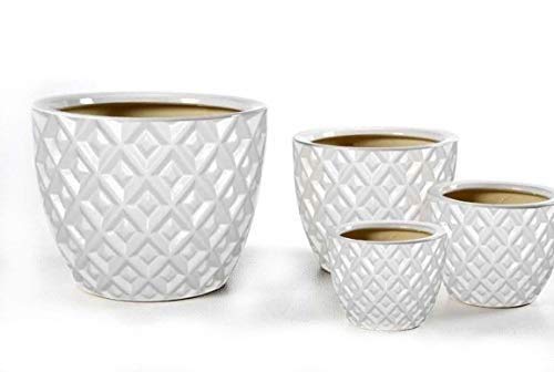 GICOS IMPORT EXPORT SRLGIC9699