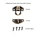 Dophee 12pcs Antique Brass Decorative Hasp Jewelry Wooden Box Hasp Latch Lock with Screws
