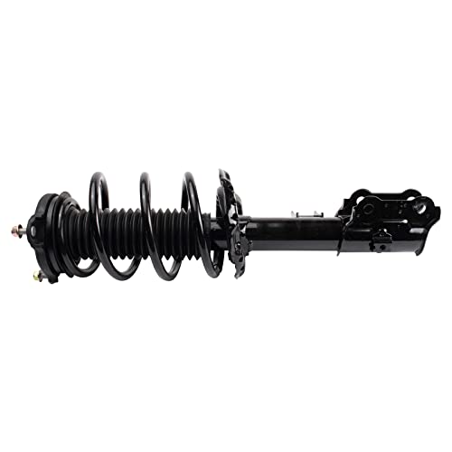 Image of TRQ Front Strut and Spring Assembly Set
