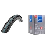 Schwalbe