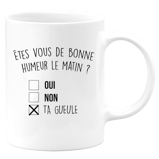 quotedazur - Mug Humour Noir - Ëtes-vous De Bonne Humeur Le Matin Oui Non - Tasse Cadeau Anniversaire Saint-Valentin Râleur Noël Drôle Fun - Blanc/Céramique