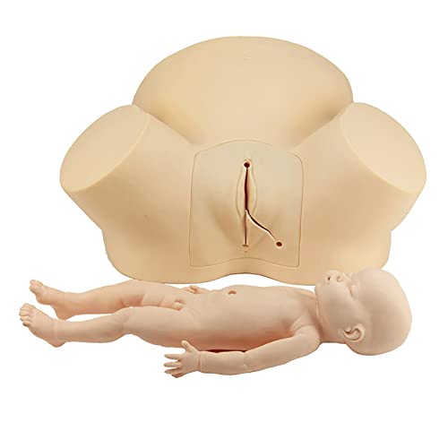 Modèle de formation de sage-femme haute fidélité avec bassin et fœtus articulé