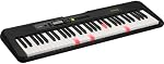 Casio LKS250BK 61 Lighted Key Portable Keyboard Piano Kit with Premium Stand and Bench - Compact, Lightweight and Easily Portable - USB to Host Micro B Port - Black