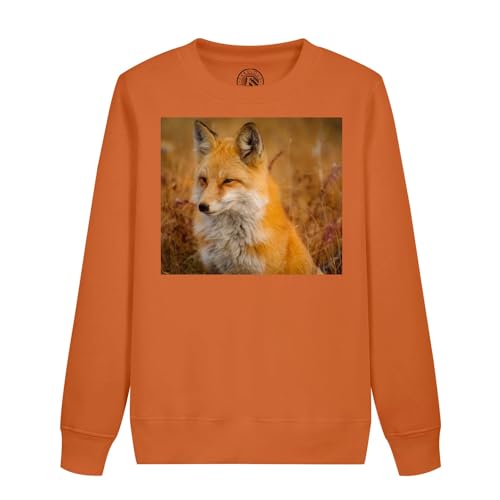 Sweatshirt enfant renard pull imprimé prairie nature sauvage et champs de blé automne