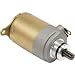DB Electrical SCH0002 Starter For Bms Motor Sports Atv Go Cart Kart Scooter 150 Bms Eagle Eton Gmi Scoot Hammerhead Redcat/Polaris RZR 170 169cc 2009-2015 /