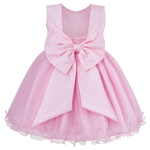 Vestido Infantil Tema Princesa Aniversário Casamento Daminha Rosa (3)