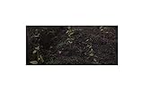 Seeds & Plants Shop by Ipsa