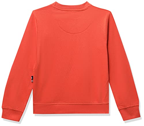 Image of U.S. POLO ASSN. Boys Cotton Turtle Neck Sweatshirt