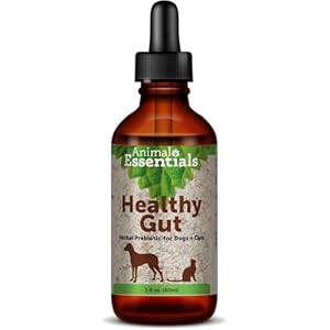 Animal Essentials Healthy Gut – Herbal Prebiotic for Dogs & Cats, Gut Health Blend, Herbal Formula, Organic Human Grade Herbs, Veterinarian Recommended, Liquid Tonic – 2 Fl Oz