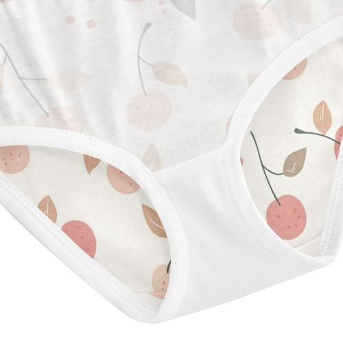 ZZKKO Cute Cherry Farmhouse Girls Underwear Toddler Panties for Girls Comfort Brief Size 2-8T4