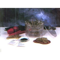 Miracle Biosta Clear Sprouter