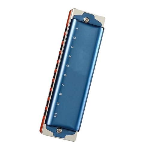 10̉tKpn[jJ EL[Ƃ̑̃g[̏Sҗpy n[jJ(Paddy C blue)