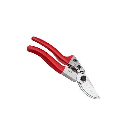 WEIGENG Professional Pruning Scissors, Suitable For All Kinds Of Potted Flower Scissors, Non-rusting Spring Scissors, More Suitable For Women Pruning Potted Plants Very convenient and safe garden scis