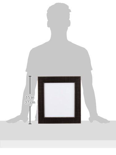 Amazon | 大仙 額縁 色紙額 風雅 ブラック 520100203 作品寸法