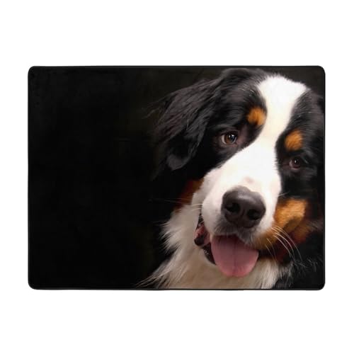 �J�[�y�b�g ���O�}�b�g ���O �O�~ �ėp ���� �l�G�ʗp �􂦂� ����~�ߕt �h�_�j �R�� �h�L ��ӂ픧�G�� �h�� �􂦂郉�O �}�b�g �I�[���V�[�Y�� �k�� �����`