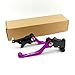Pivot Clutch Brake Levers Compatible with KLX230 KLX230R 2020-2023 | KLX250 2008-2020 | VERSYSX 250 2017-2019 | VERSYSX 300 2017-2021 | KLX125 2010-2016 | KLX150S 09-13 Laser Marking (Purple) -  Fujian Xinzhongshun Machinery Co., Ltd., 42-3127/41-3145